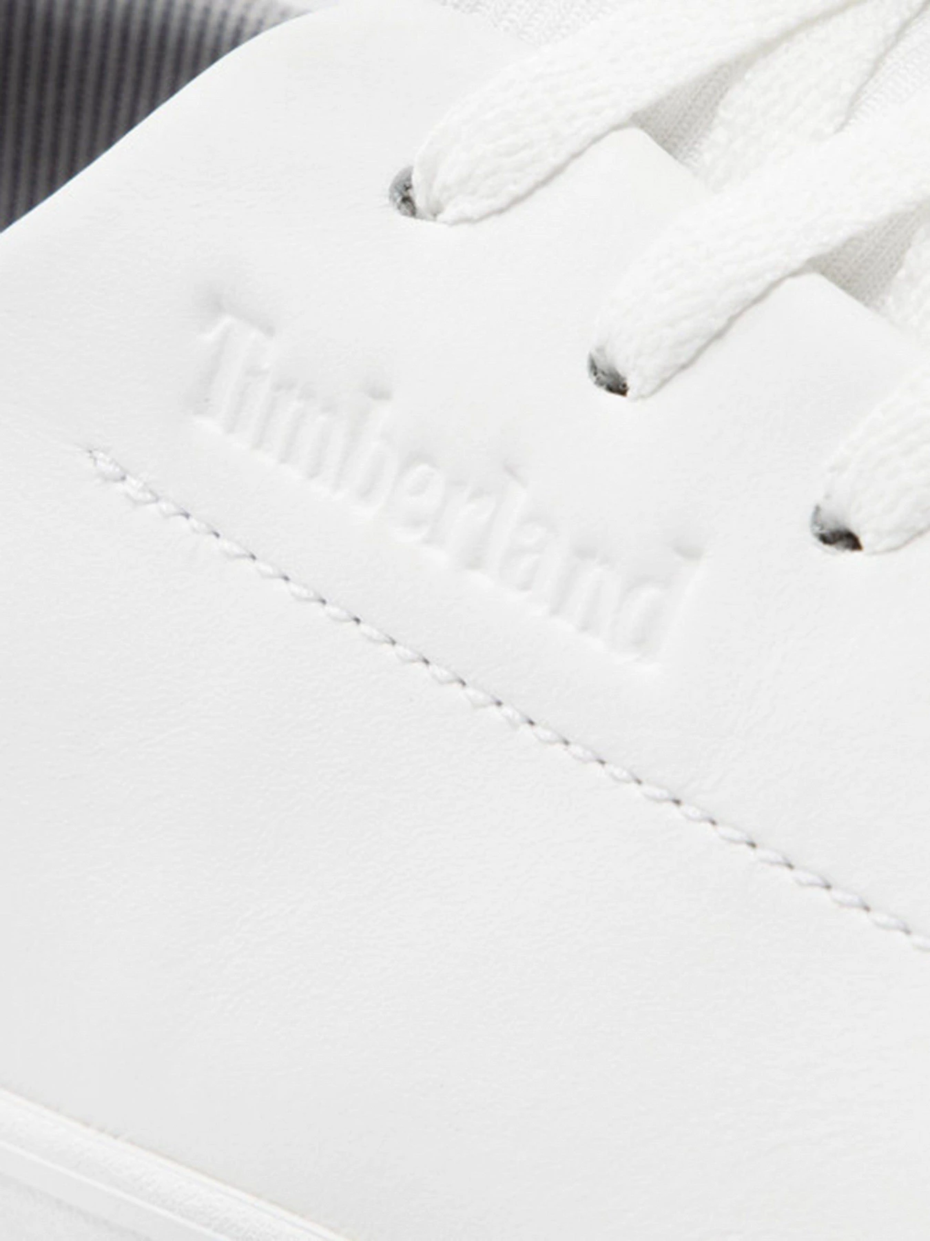 Кеды Timberland Skape Park модель TB0A3ZY3100 Фото