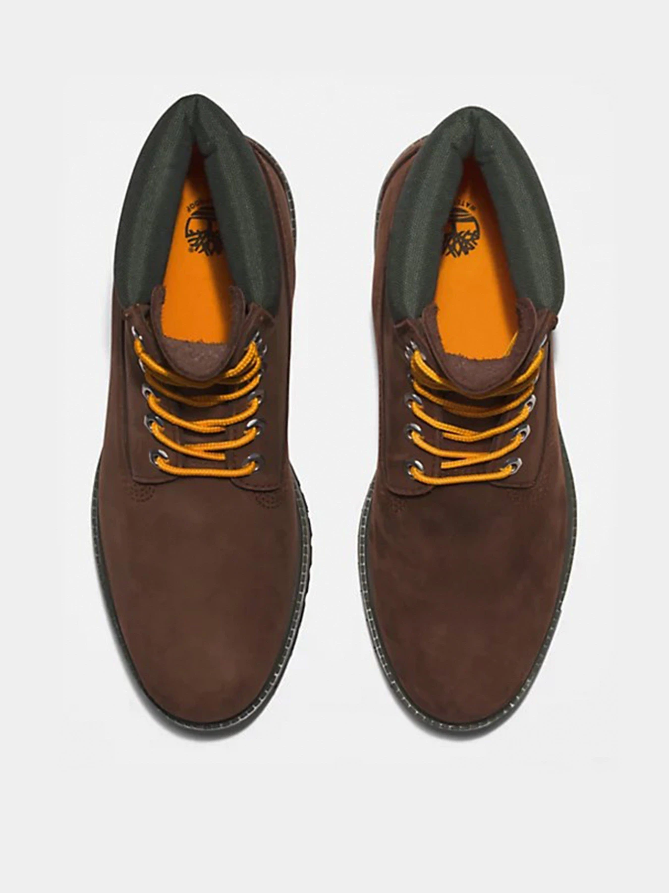 Черевики та чоботи Timberland  Premium 6 модель TB0A2CX8931 Фото