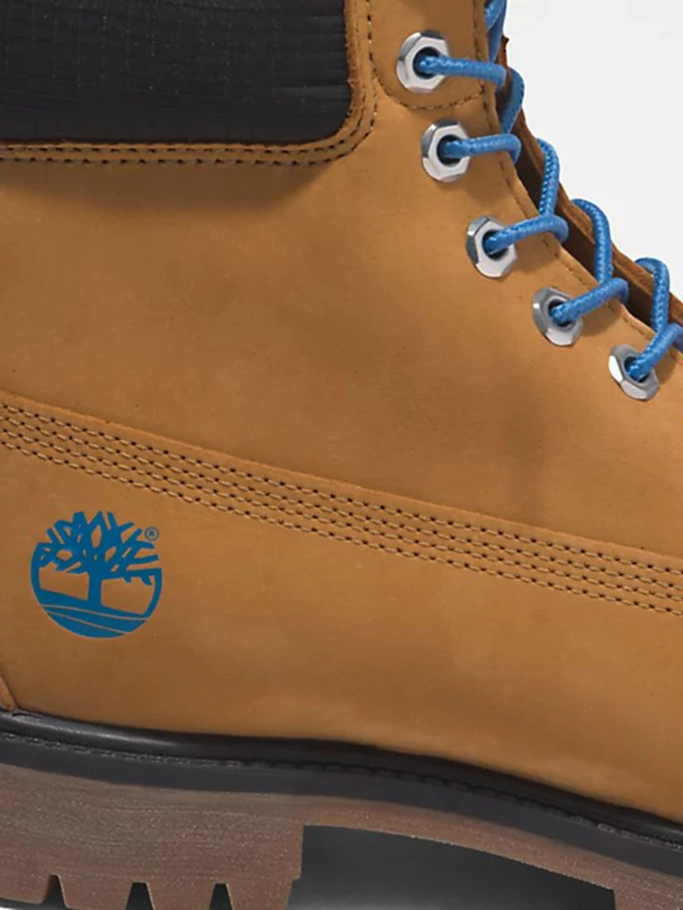 Черевики та чоботи Timberland Premium 6 inch модель TB0A2DJF231 Фото