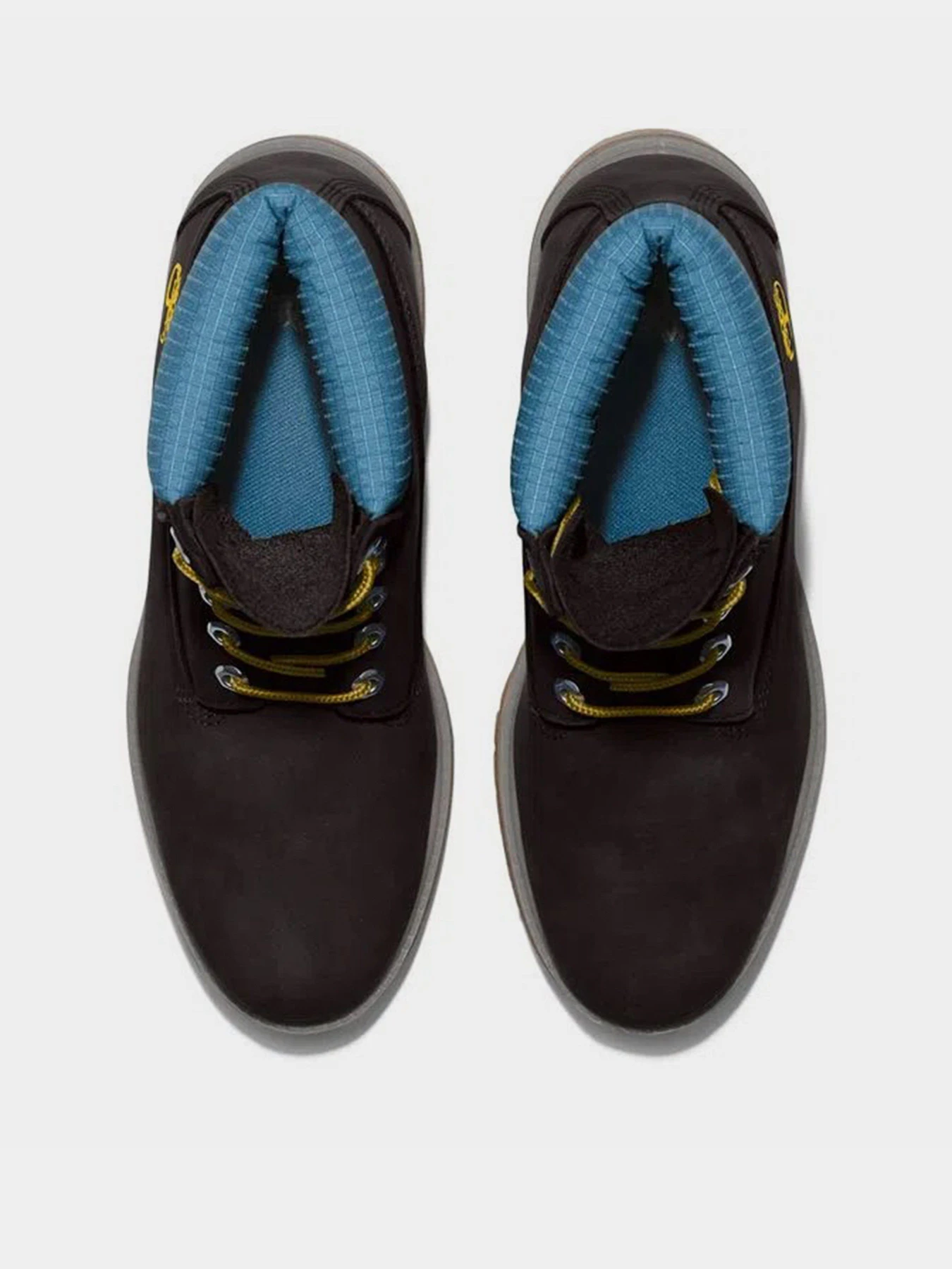 Черевики та чоботи Timberland Premium 6 inch модель TB0A5NYZ001 Фото