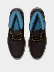 Черевики та чоботи Timberland Premium 6 inch модель TB0A5NYZ001 Фото