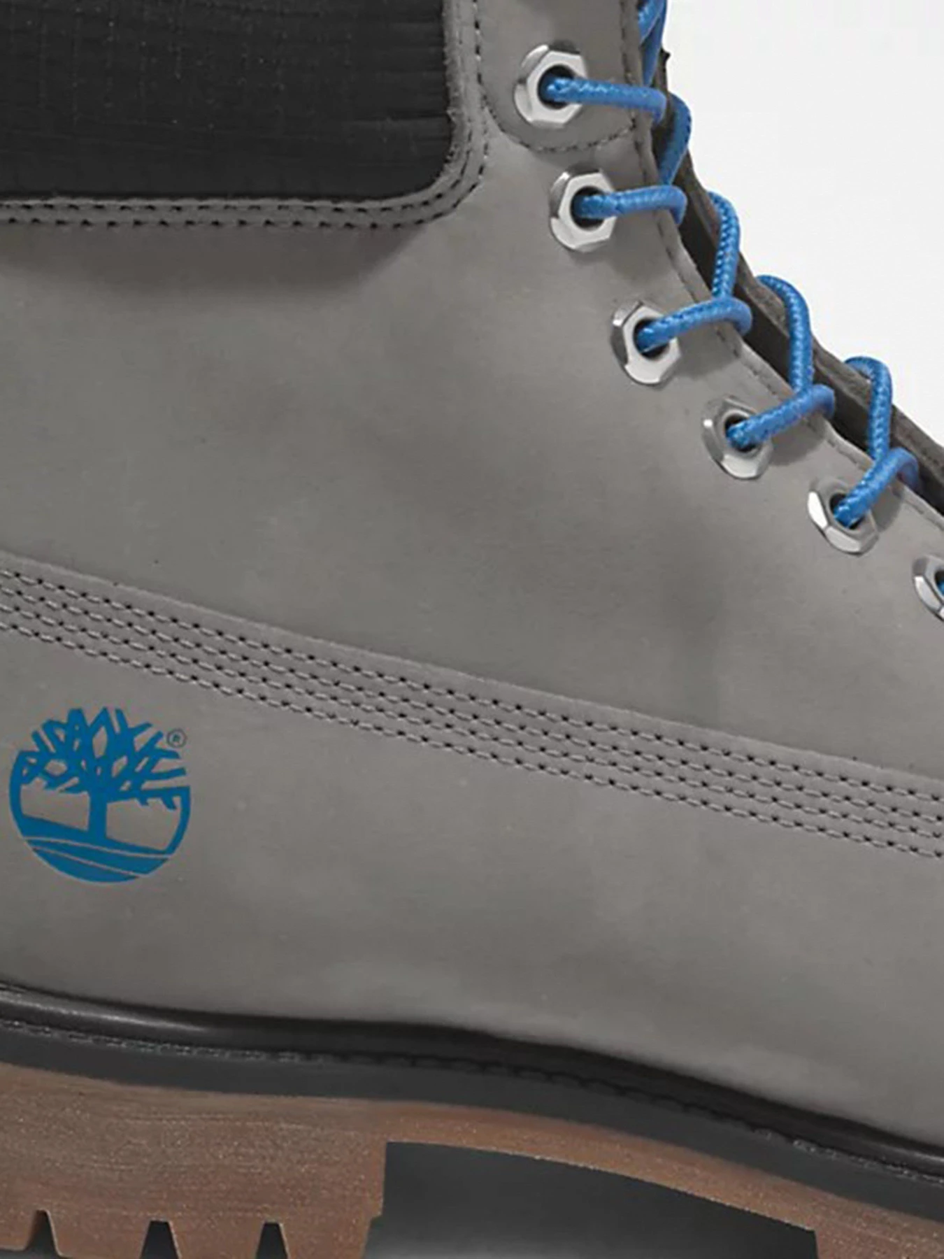 Черевики та чоботи Timberland  Premium 6 модель TB0A5RX8F49 Фото