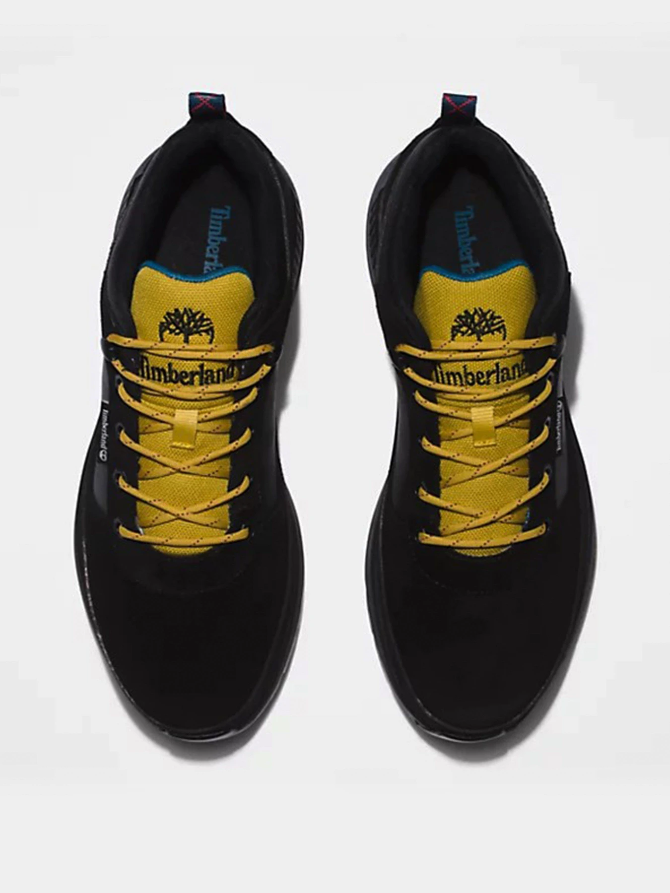 Кроссовки Timberland FIELD TREKKER модель TB0A5NDQ015 Кроссовки Timberland FIELD TREKKER модель TB0A5NDQ015 Фото