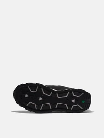 Кроссовки Timberland Winsor Park модель TB0A5WVZ015 Фото