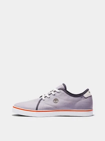 Кеди Timberland Skape Park Canvas VulcOx Basic модель TB0A5U3H050 Фото
