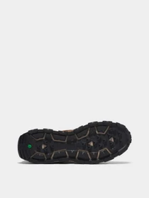 Кросівки Timberland GreenStride™ Winsor Park Trainer модель TB0A5YD5F13 Фото