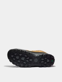 Черевики та чоботи Timberland Chillberg Waterproof Insulated модель TB09701R231 Фото