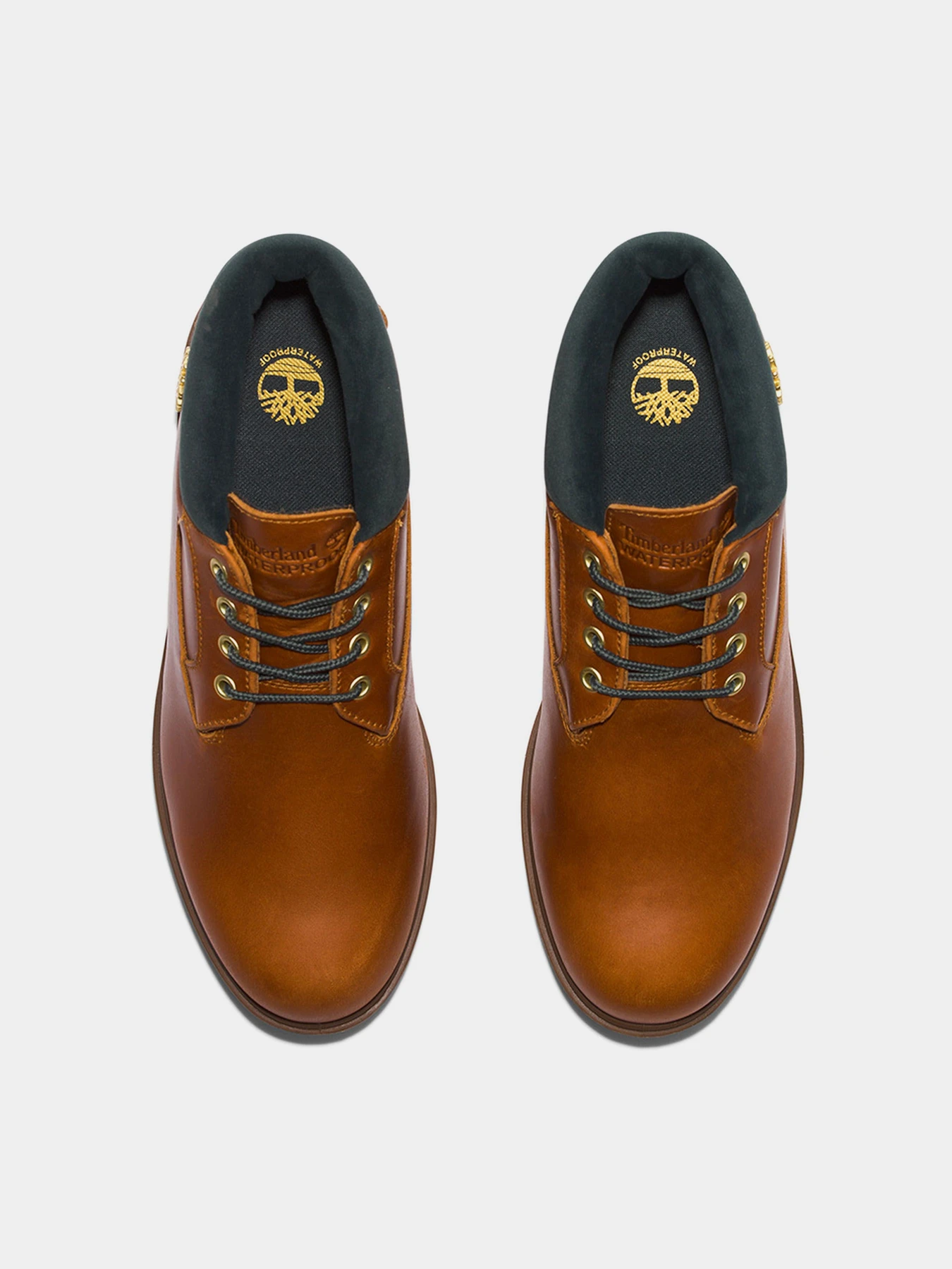 Ботинки и сапоги Timberland Newman Waterproof модель TB0A5WJH358 Ботинки и сапоги Timberland Newman Waterproof модель TB0A5WJH358 Фото