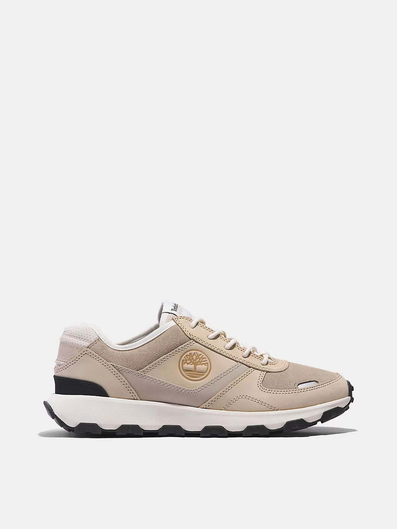 Кроссовки Timberland Winsor Park модель TB0A66PWEN7 Кроссовки Timberland Winsor Park модель TB0A66PWEN7 Фото