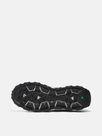 Кроссовки Timberland Winsor Park модель TB0A67A9EO2 Фото