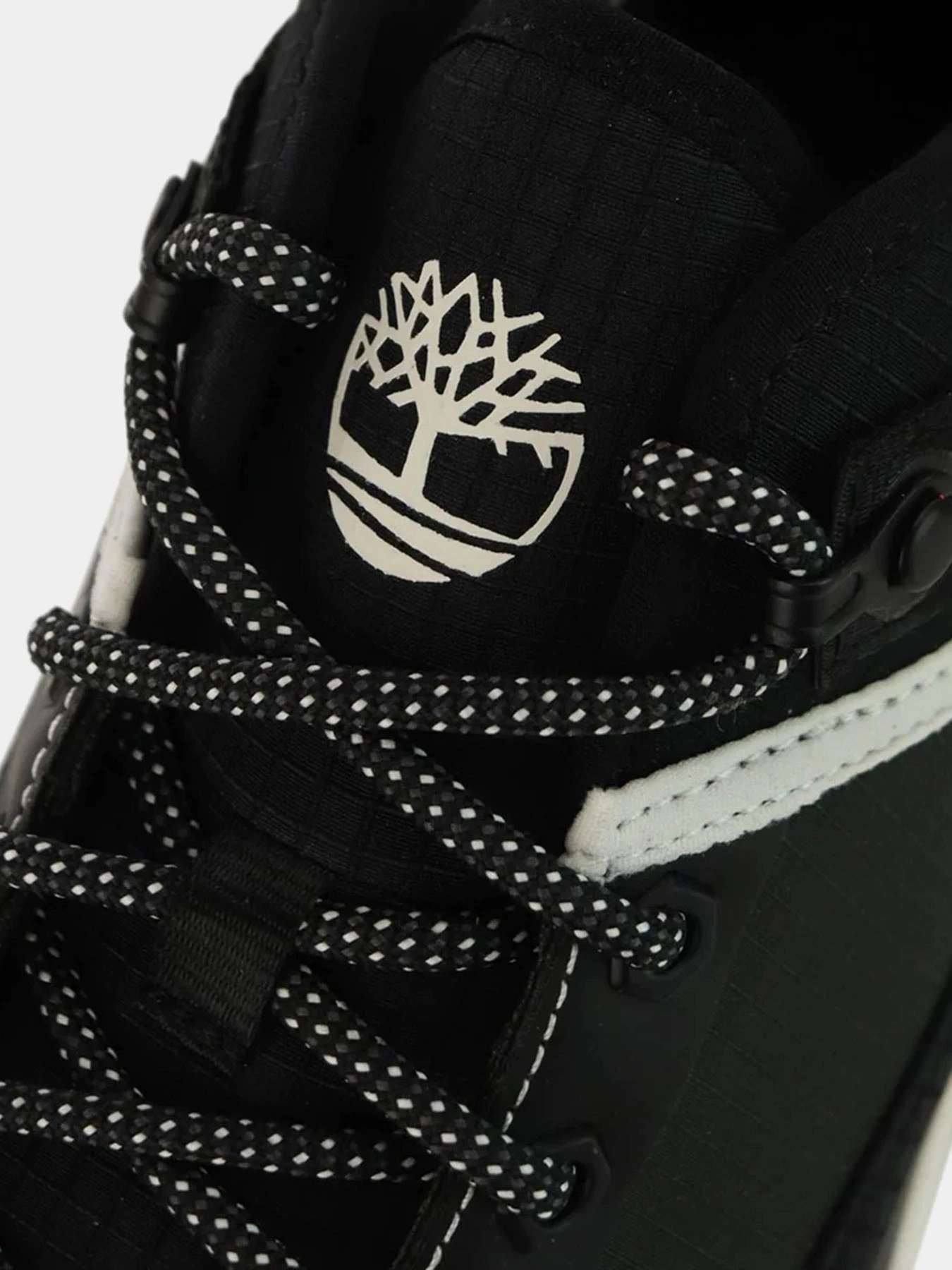 Кроссовки Timberland Field Trekker Mid Lace Up модель TB0A6BKSEL0 Кроссовки Timberland Field Trekker Mid Lace Up модель TB0A6BKSEL0 Фото
