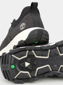 Кроссовки Timberland Winsor Park модель TB0A67RNEK8 Фото