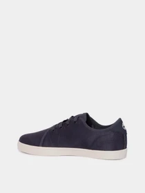 Кеды Timberland Skape Park модель TB0A67H5EP4 Фото