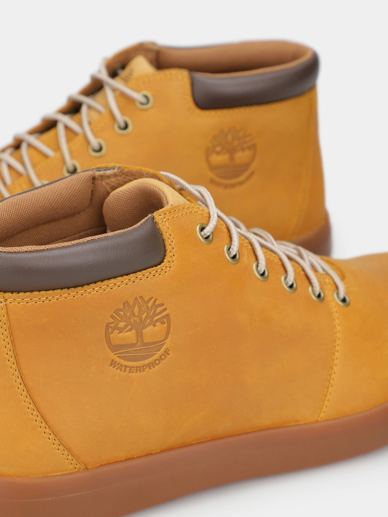 Черевики та чоботи Timberland Ashwood Park модель TB1A2DSC231 Черевики та чоботи Timberland Ashwood Park модель TB1A2DSC231 Фото