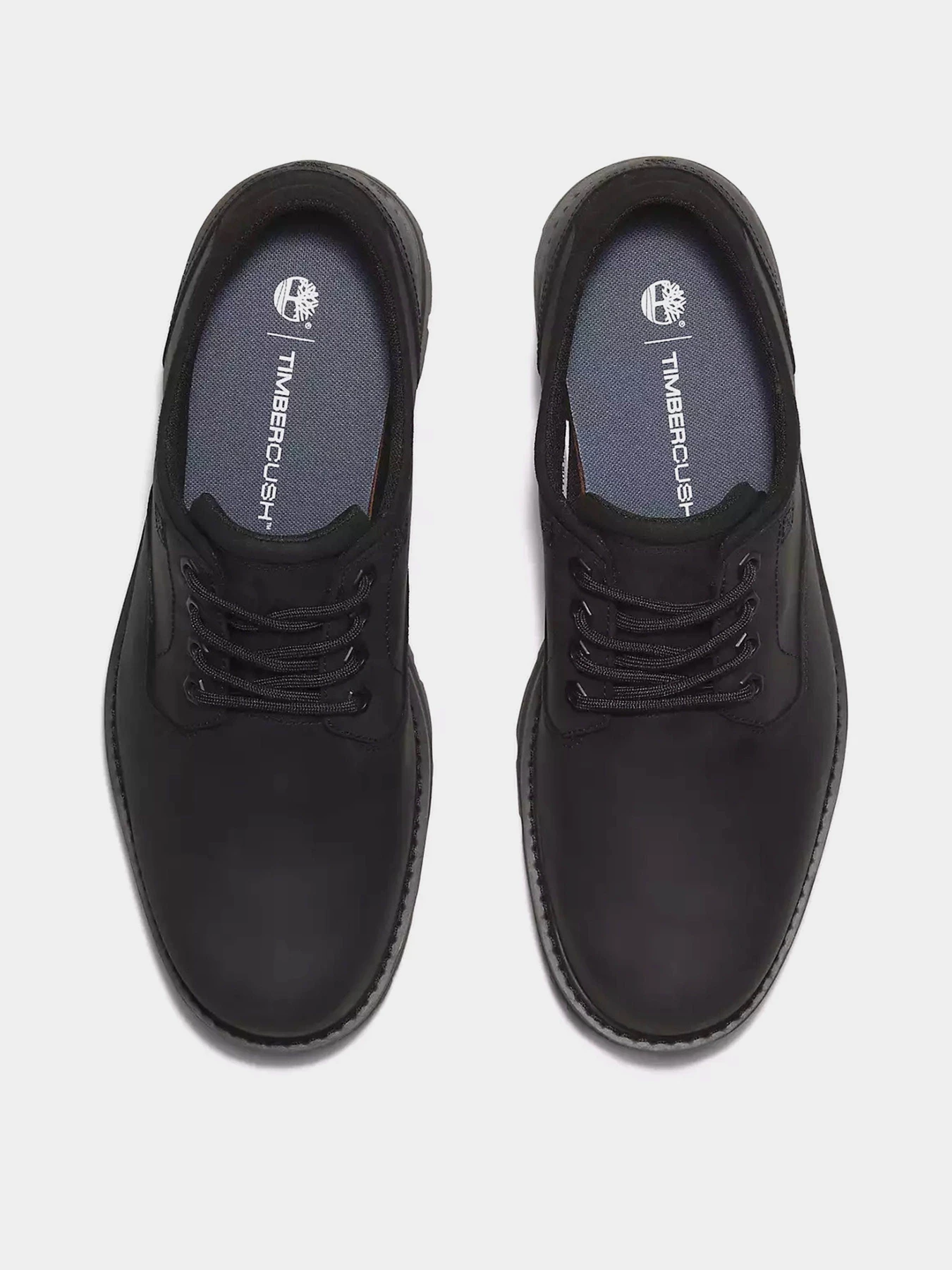 Туфли и лоферы Timberland BRITTON ROAD WATERPROOF модель TB0A69T9W02 Фото