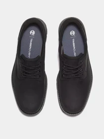 Туфли и лоферы Timberland BRITTON ROAD WATERPROOF модель TB0A69T9W02 Фото