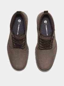 Ботинки и сапоги Timberland BRITTON ROAD WATERPROOF модель TB0A69TWEM5 Фото
