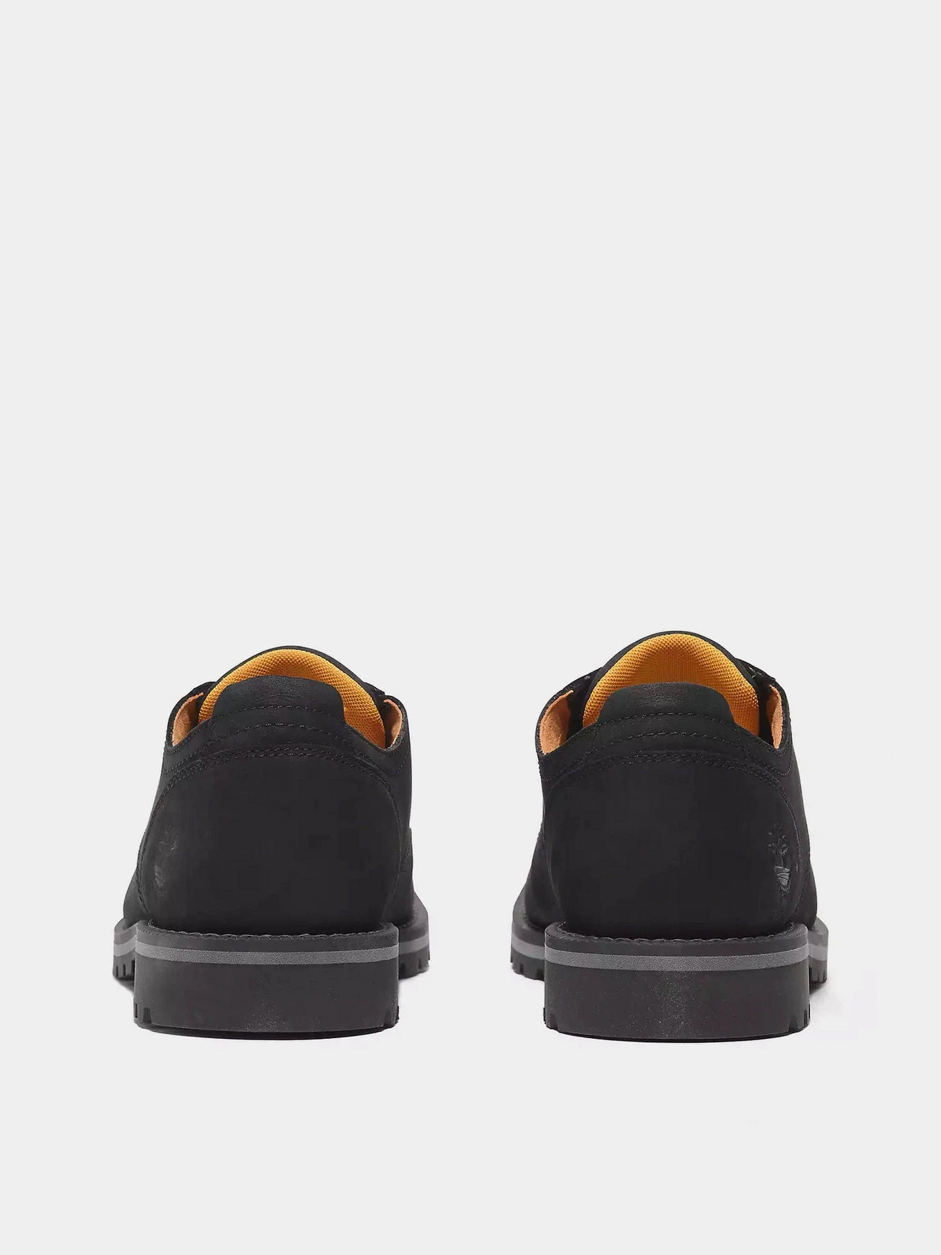 Туфли и лоферы Timberland REDWOOD FALLS WATERPROOF модель TB0A699PW05 Фото