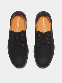 Туфли и лоферы Timberland REDWOOD FALLS WATERPROOF модель TB0A699PW05 Фото