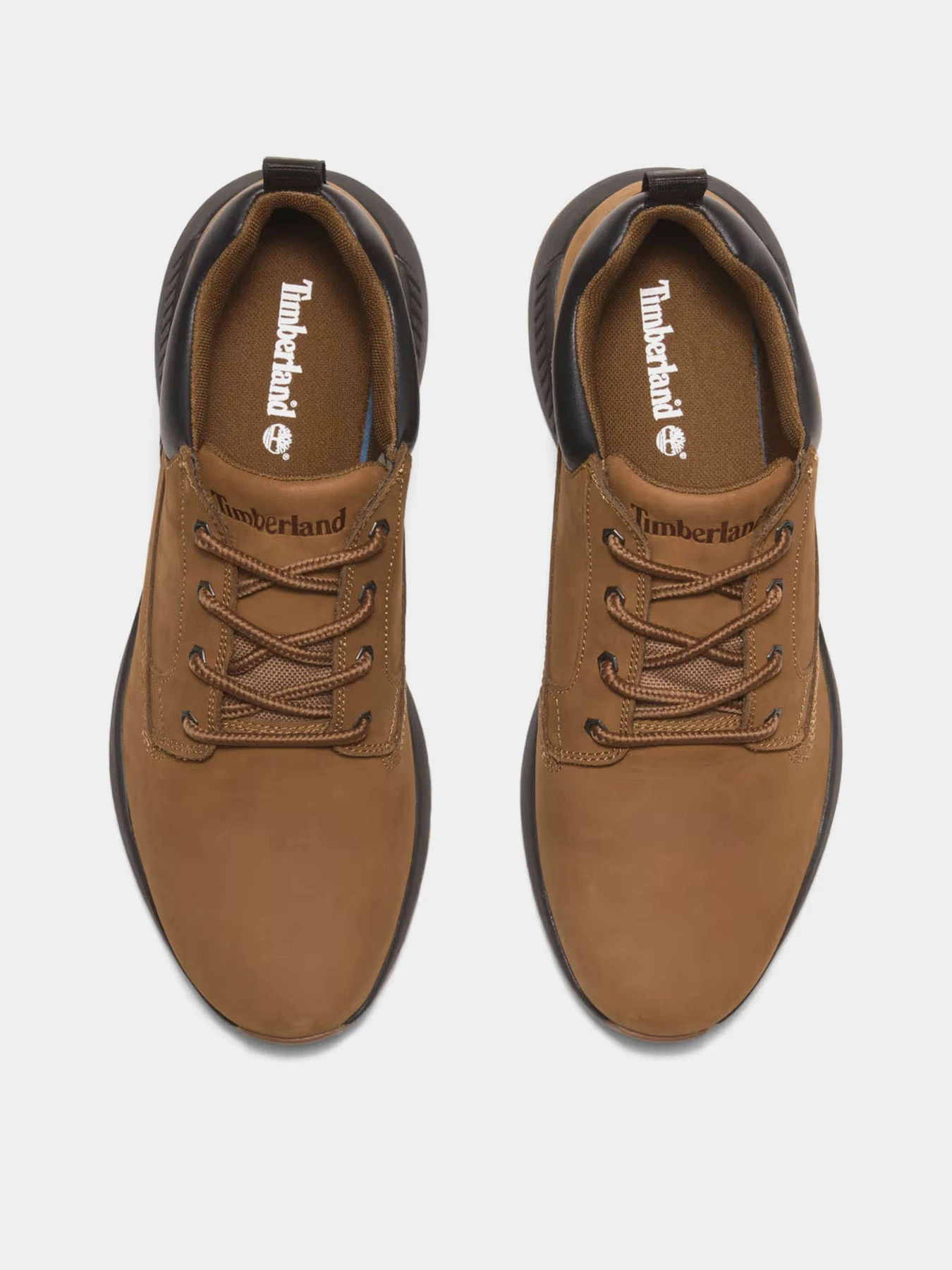 Ботинки и сапоги Timberland Killington Trekker Low Lace-Up Trainer модель TB0A69EDEM5 Ботинки и сапоги Timberland Killington Trekker Low Lace-Up Trainer модель TB0A69EDEM5 Фото