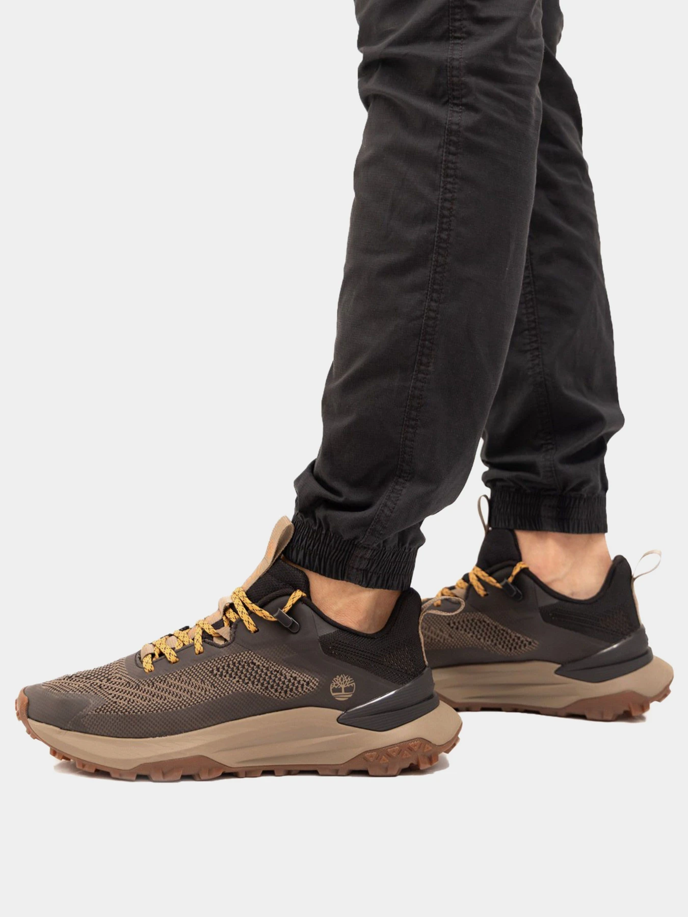 Кроссовки Timberland MOTION ACCESS модель TB0A6DJKENS Фото