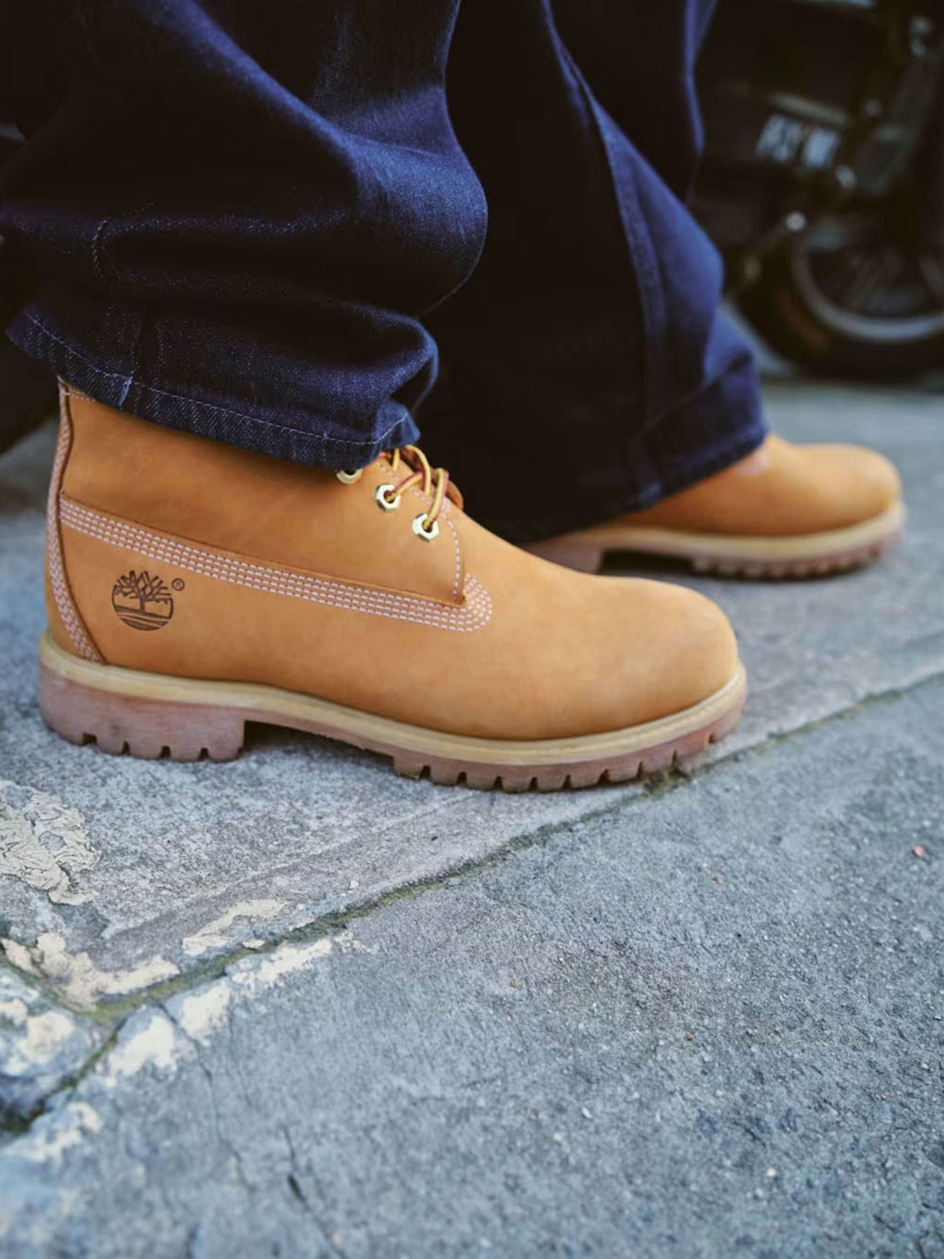 Ботинки и сапоги Timberland TIMBERLAND PREMIUM WATERPROOF модель TB110061713 Ботинки и сапоги Timberland TIMBERLAND PREMIUM WATERPROOF модель TB110061713 Фото