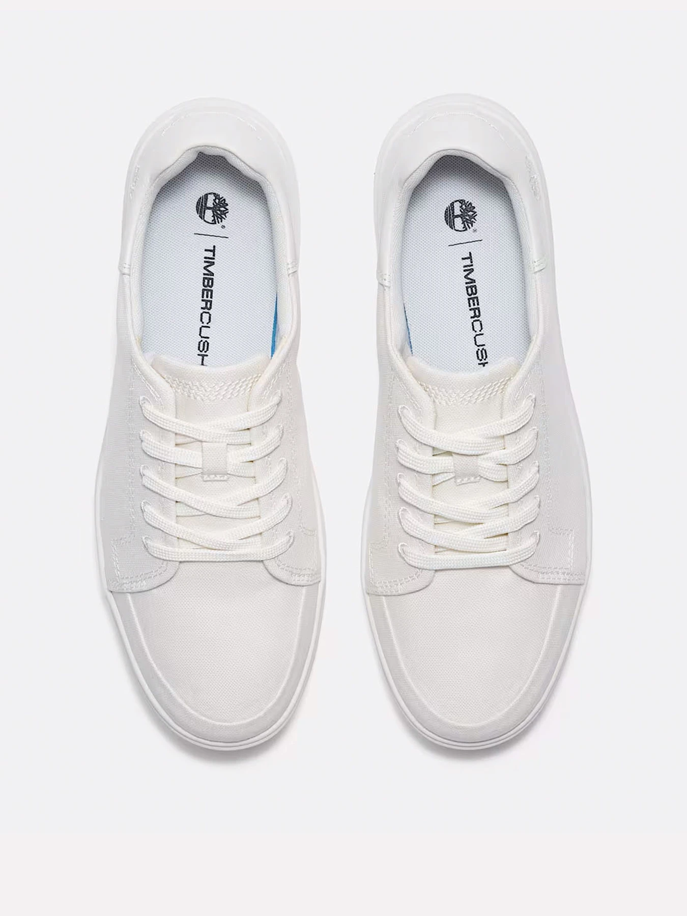 Кеды Timberland Emerson Street Low Lace Up модель TB0A6CQQET7 Фото