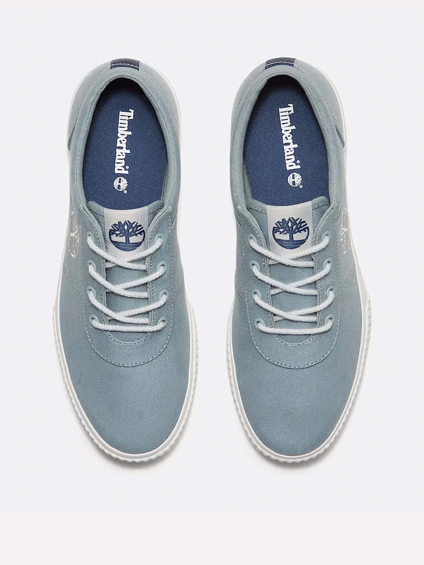 Кеды Timberland Mylo Bay Low модель TB0A42D7ETS Кеды Timberland Mylo Bay Low модель TB0A42D7ETS Фото
