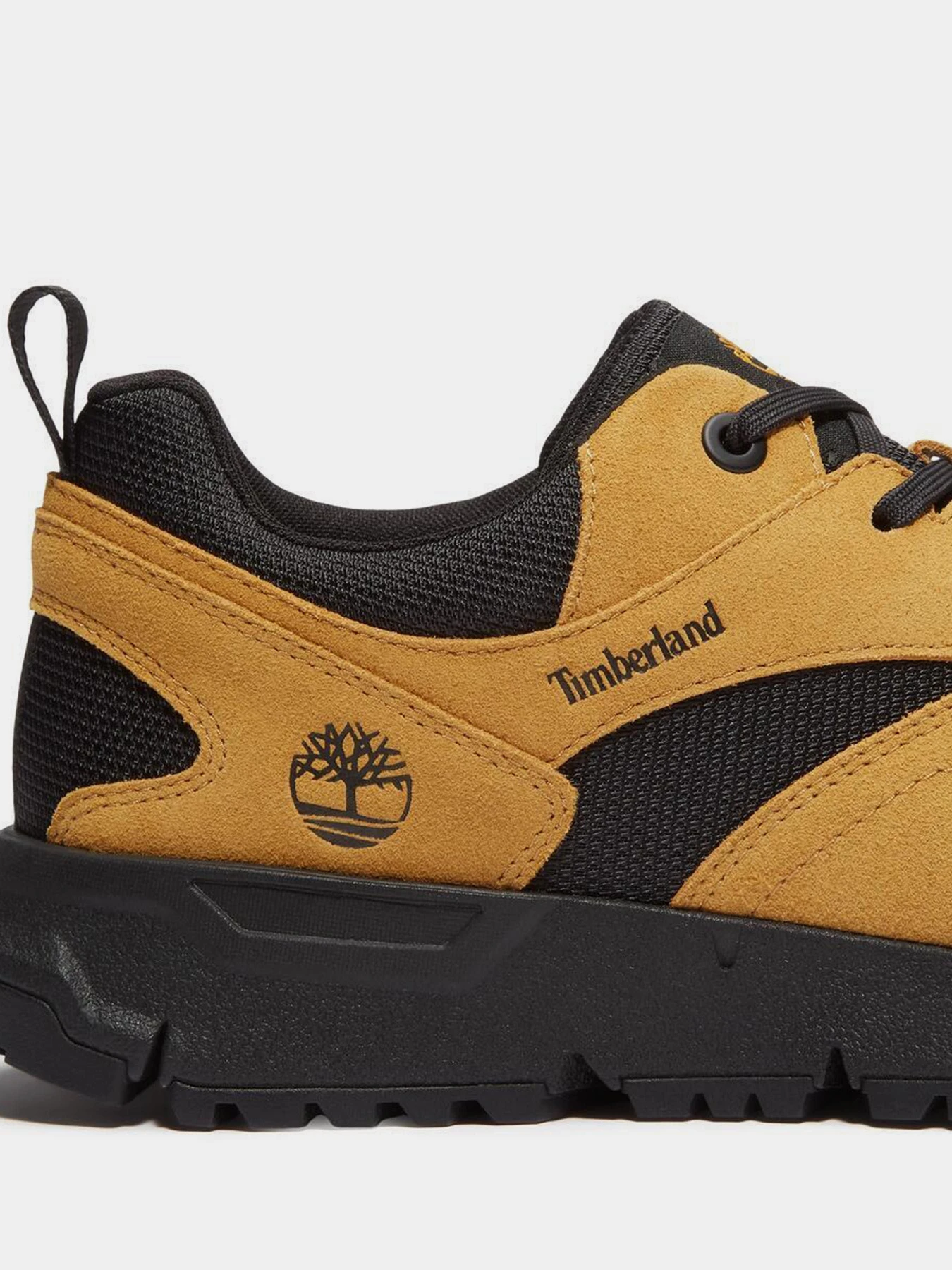 Кросівки Timberland VOYAGER PARK модель TB0A6DTEEF0 Фото