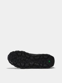 Кросівки Timberland WINSOR PARK WATERPROOF модель TB1A5YAN015 Фото