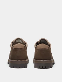 Туфли и лоферы Timberland BRITTON ROAD WATERPROOF модель TB0A69T9W07 Фото