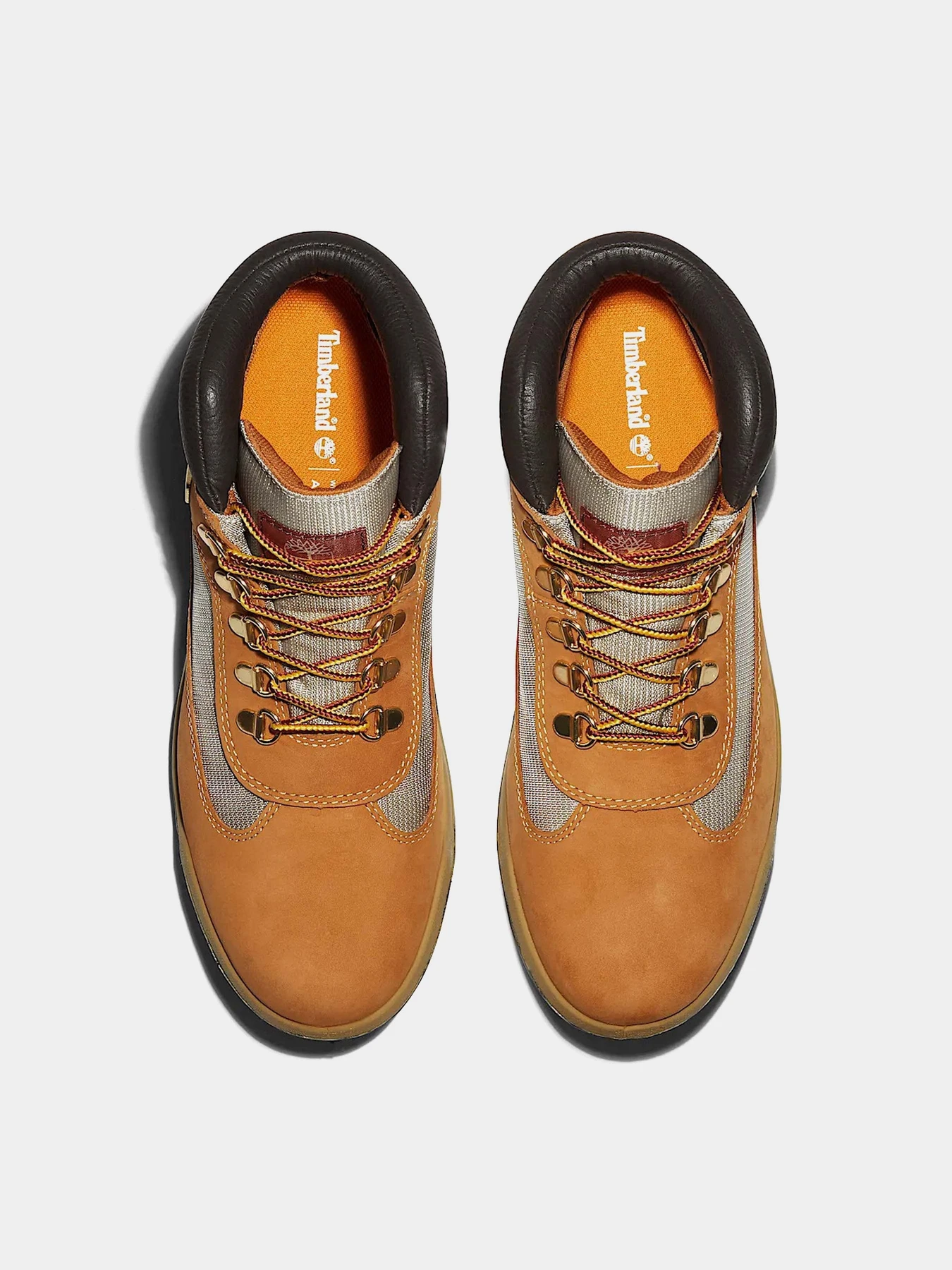 Черевики та чоботи Timberland FIELD BOOT WATERPROOF модель TB1A18RI231 Фото