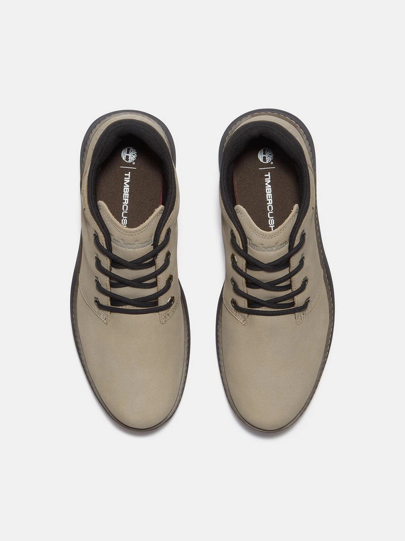 Черевики та чоботи Timberland HUDSON ROAD GTX модель TB0A6A8NEL8 Фото