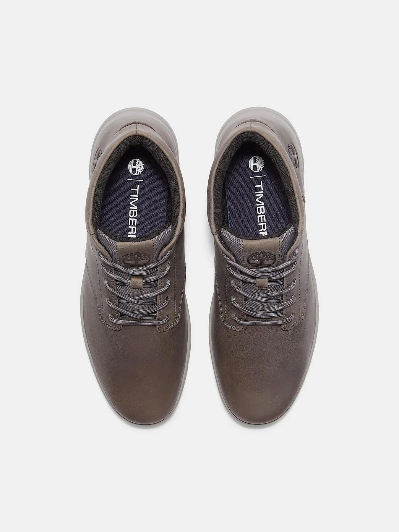 Черевики та чоботи Timberland PARKER STREET модель TB0A6C7TEL7 Фото