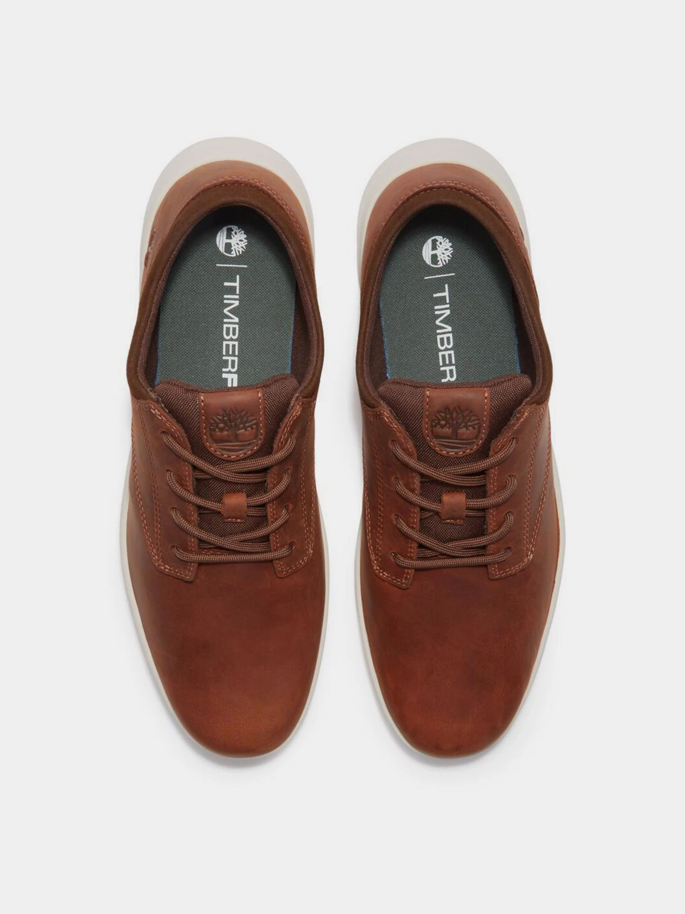 Кросівки Timberland PARKER STREET модель TB0A6C8EEM6 Фото