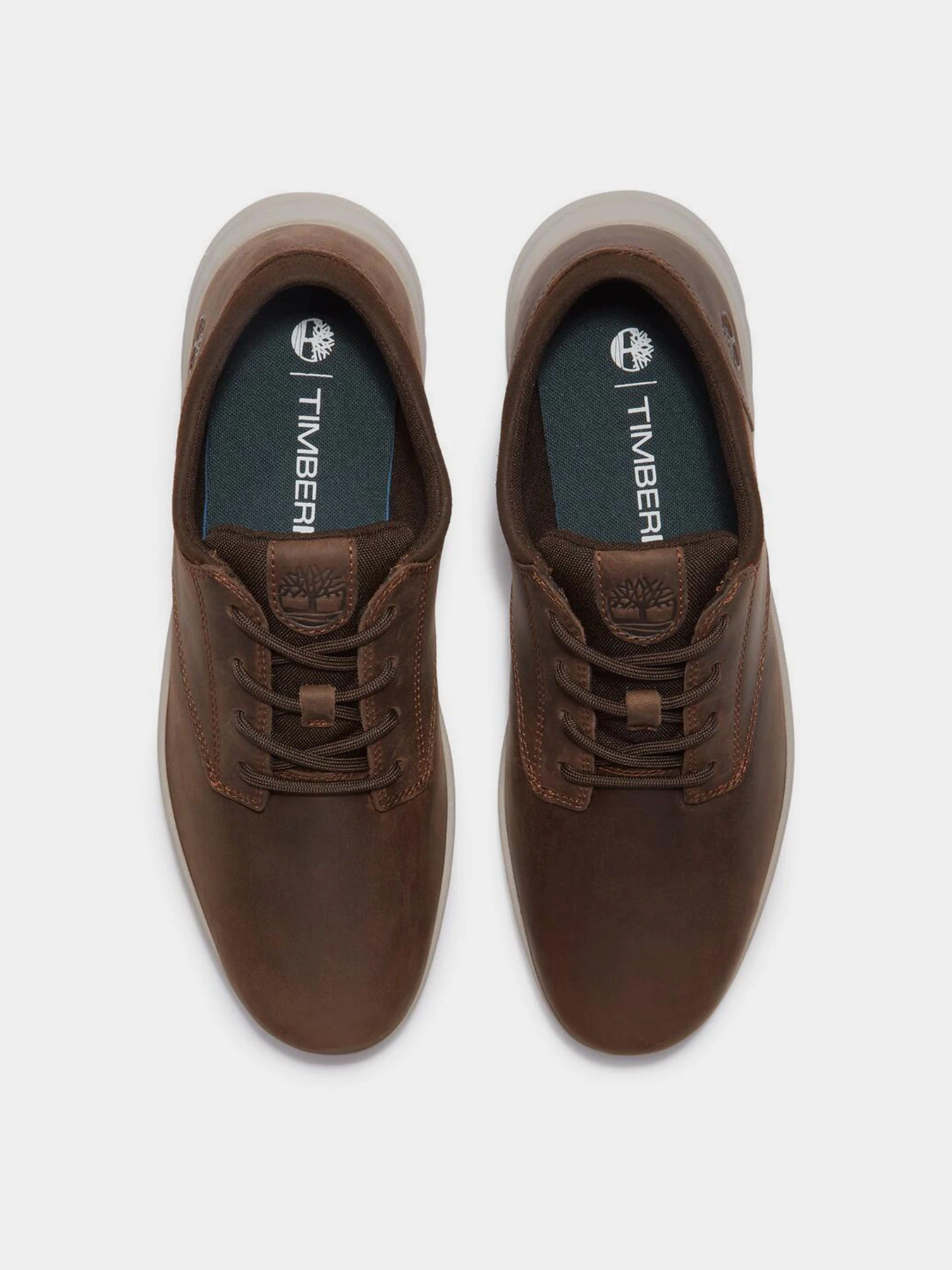Кросівки Timberland PARKER STREET модель TB0A6C8EW01 Фото