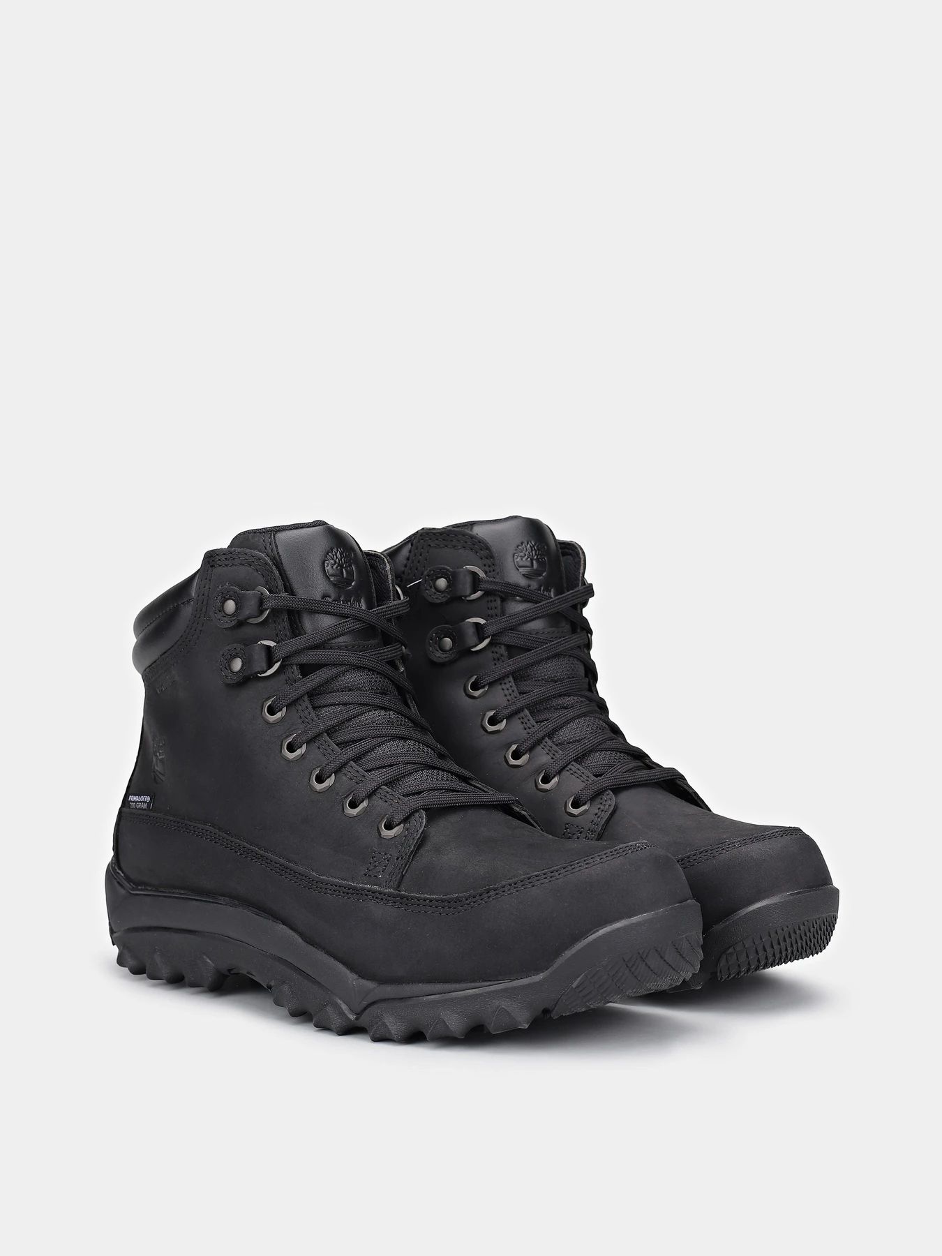 Ботинки и сапоги Timberland RIME RIDGE WATERPROOF модель TB12403R001 Фото