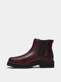 Ботинки и сапоги Timberland BRITTON DRIVE модель TB0A5RRDEIW Фото