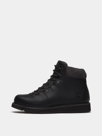 Ботинки и сапоги Timberland BRITTON MILLS модель TB0A42V6W02 Фото