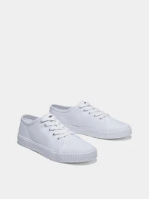 Кеды Timberland Skyla Bay модель TB0A2FHC100 Фото