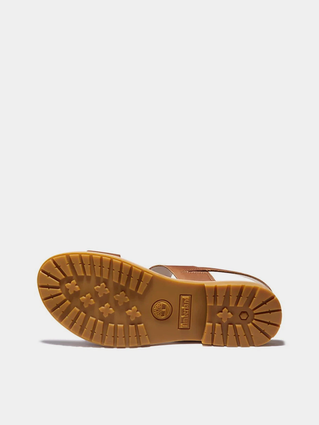 Сандалии Timberland Chicago Riverside модель TB0A23VZF13 Фото