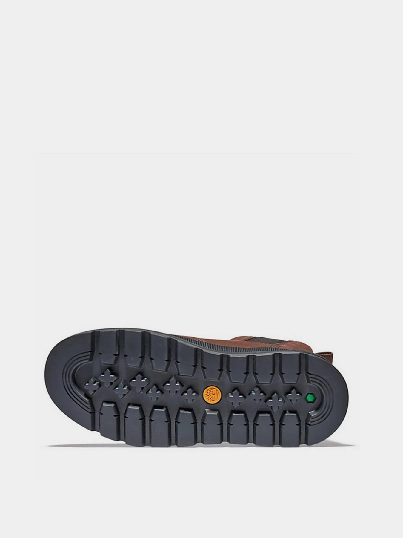 Черевики та чоботи Timberland Greenstride™ Ray City модель TB0A2JS2V13 Фото