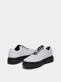 Кроссовки Timberland Ray City Oxford модель TB0A2KGM100 Фото