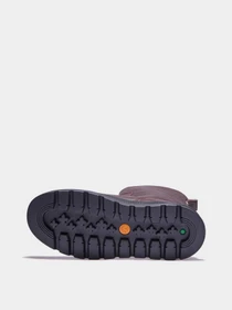 Ботинки и сапоги Timberland Ray City Warm-Lined модель TB0A2MSYV13 Фото