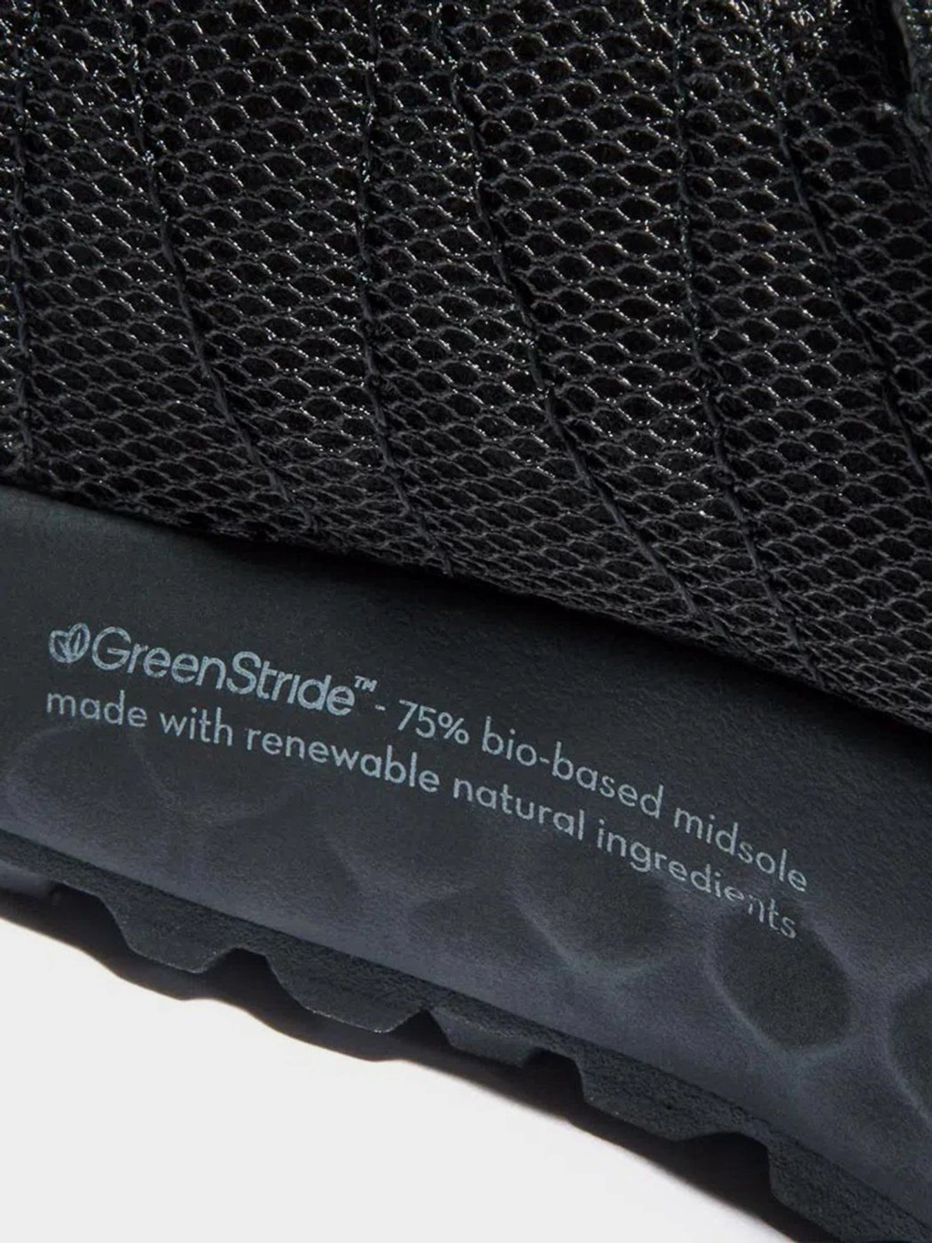 Кроссовки Timberland SOLAR WAVE модель TB0A2FP6015 Фото