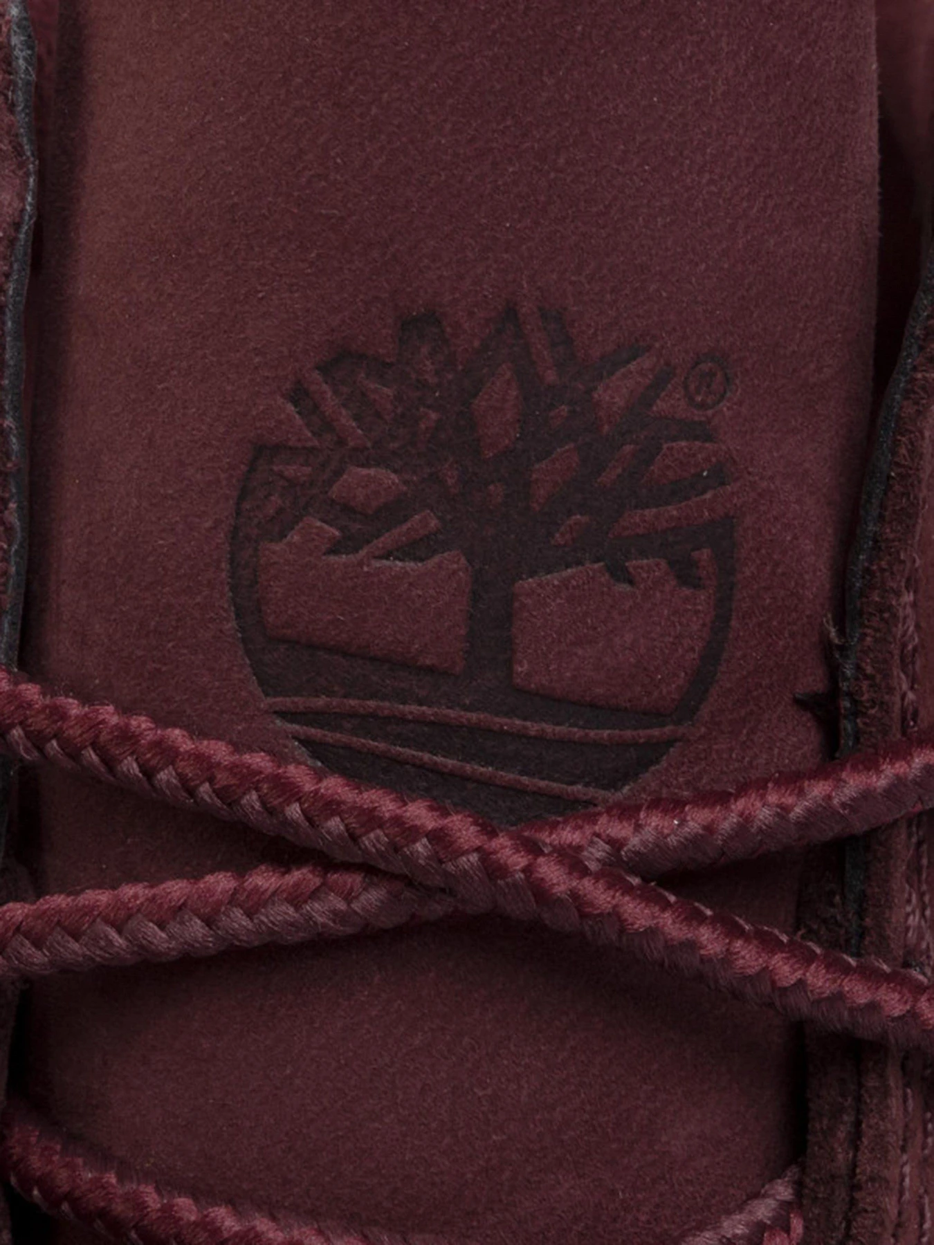 Черевики та чоботи Timberland Waterville модель TB0A1R2TC60 Фото