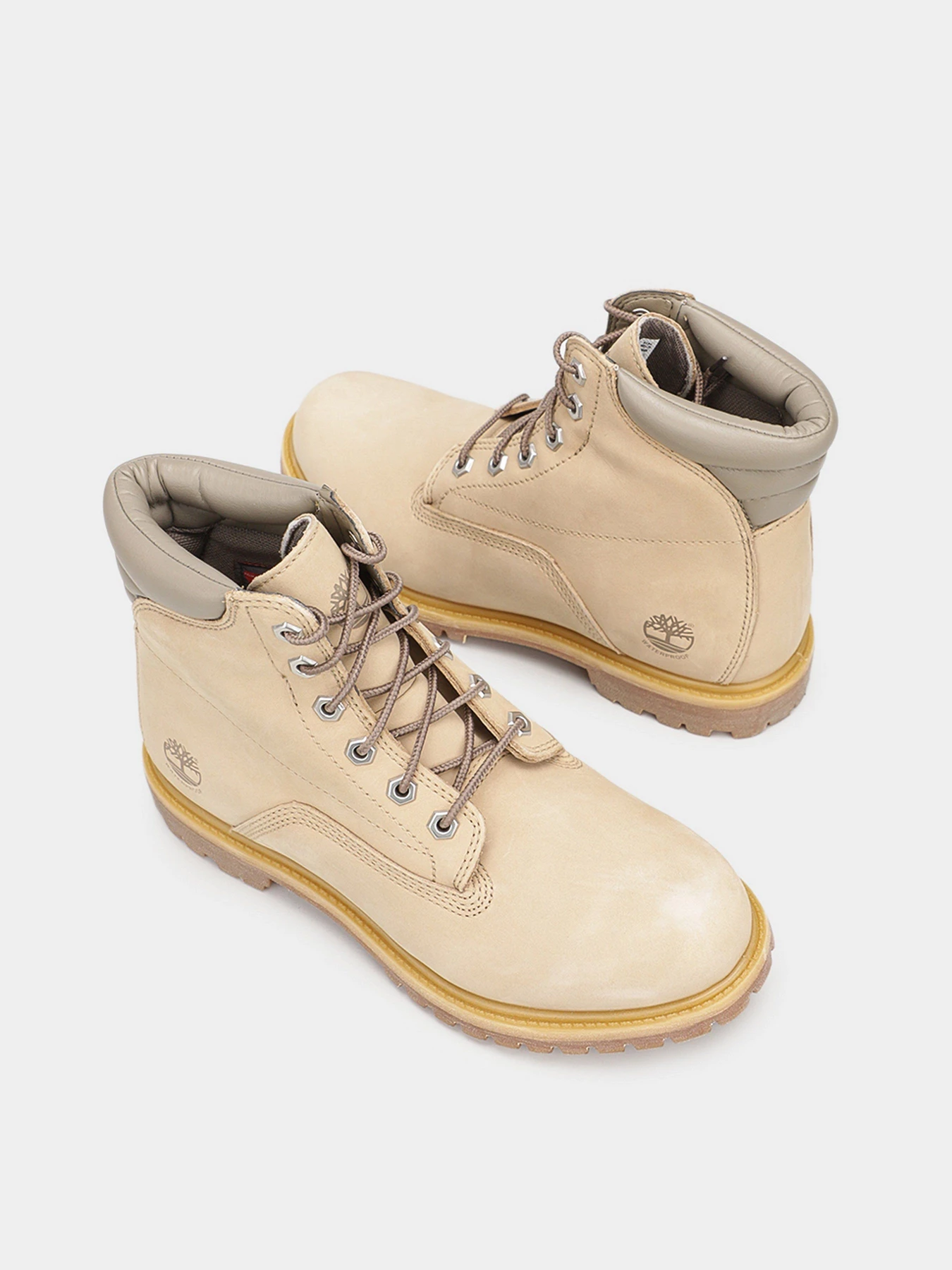 Черевики та чоботи Timberland Waterville 6-Inch Waterproof модель TB0A2M26269 Фото