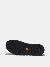Сандалии Timberland Greenstride™ Ray City модель TB0A2J2SCW9 Фото