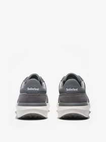 Кроссовки Timberland Seoul City Trainer модель TB0A2QU2040 Фото