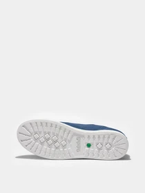 Кеды Timberland Dausette Canvas Oxford модель TB0A2QME288 Фото